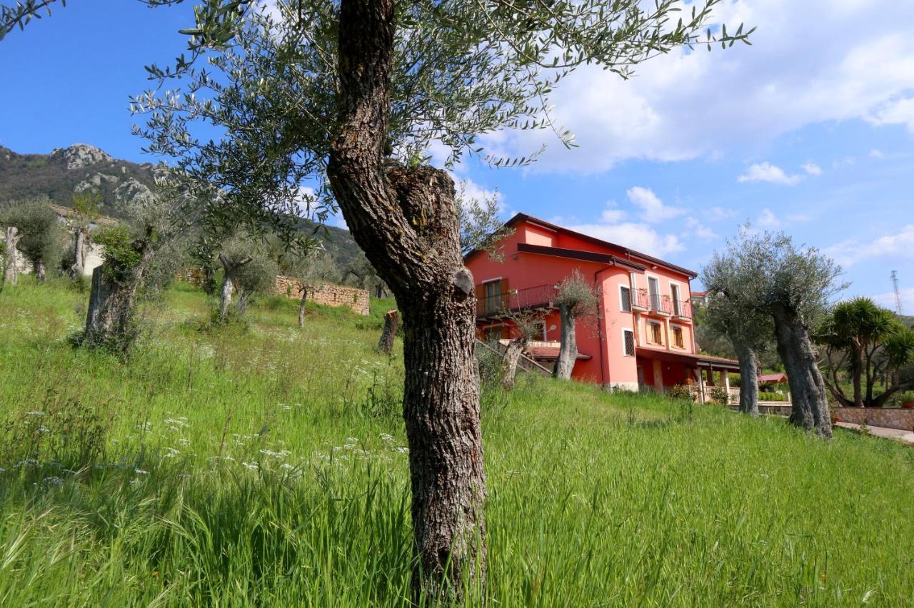 B&B La Casa Del Sole Controne Luaran gambar